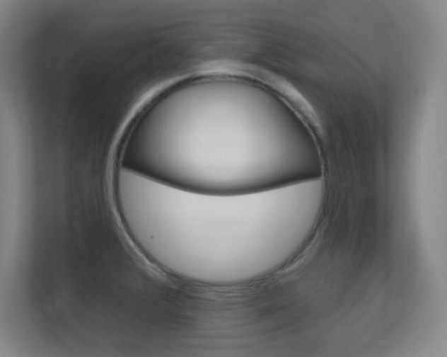 X0000112391376200908131335