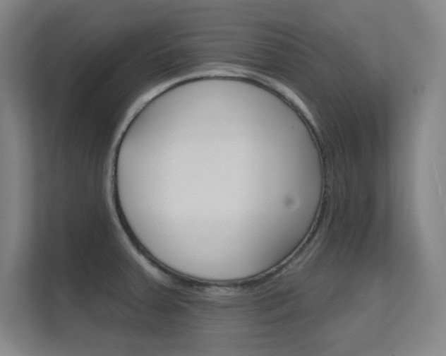 X0000112391379200908131335