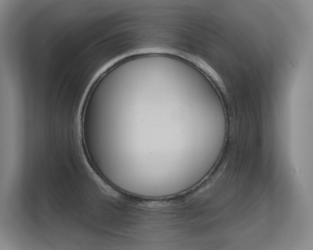 X0000112391380200908131335