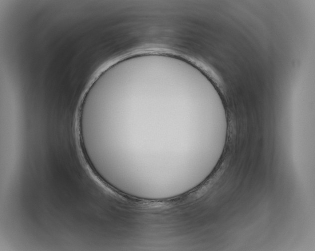 X0000112391382200908131335