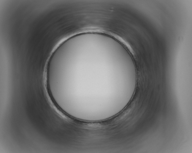 X0000112391383200908131335