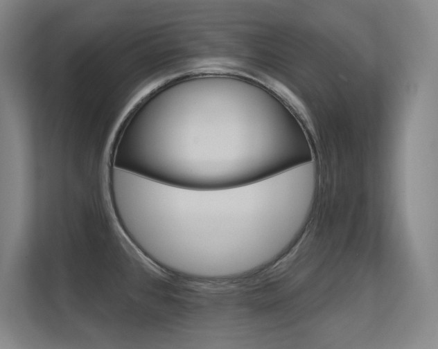 X0000112391384200908131335
