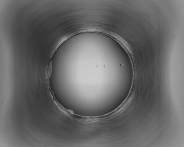X0000112391385200908131335
