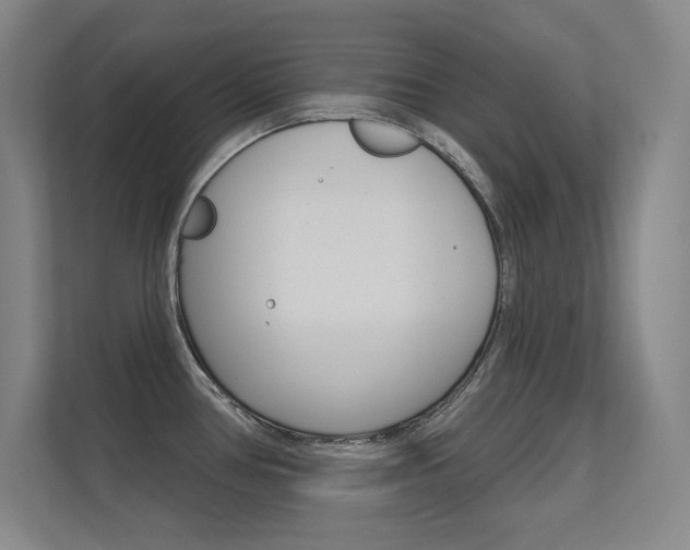 X0000112391386200908131335