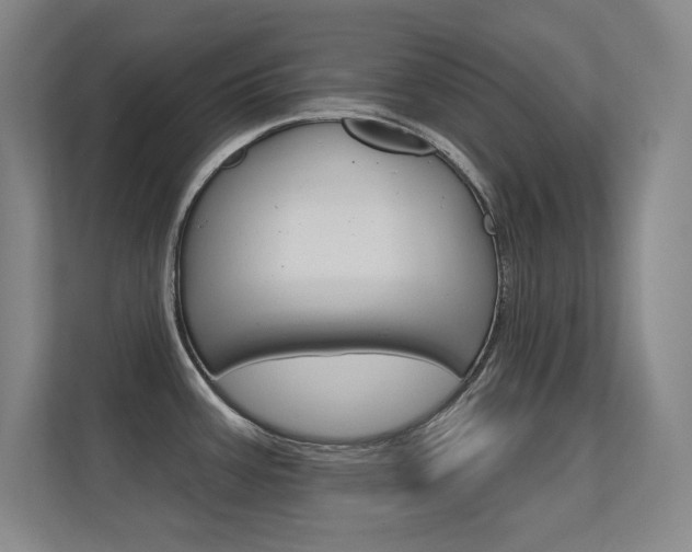 X0000112391387200908131335