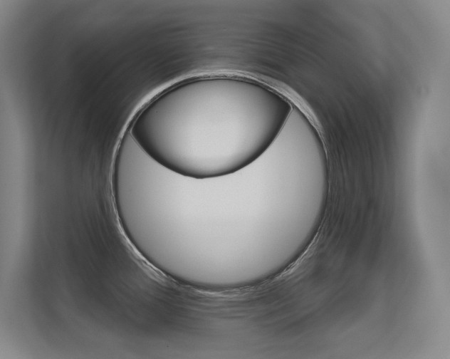 X0000112391388200908131335