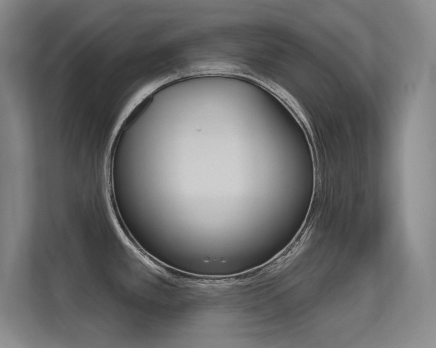 X0000112391389200908131335