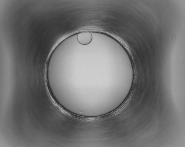 X0000112391390200908131335