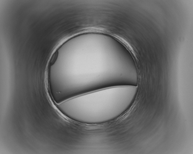 X0000112391391200908131335
