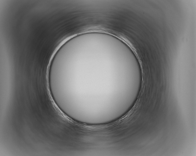 X0000112391392200908131335