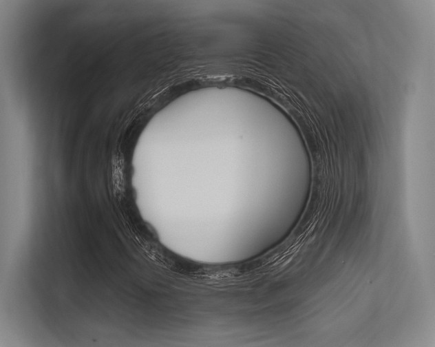 X0000112391394200908131334