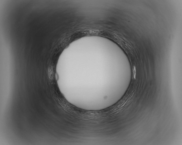 X0000112391395200908131334