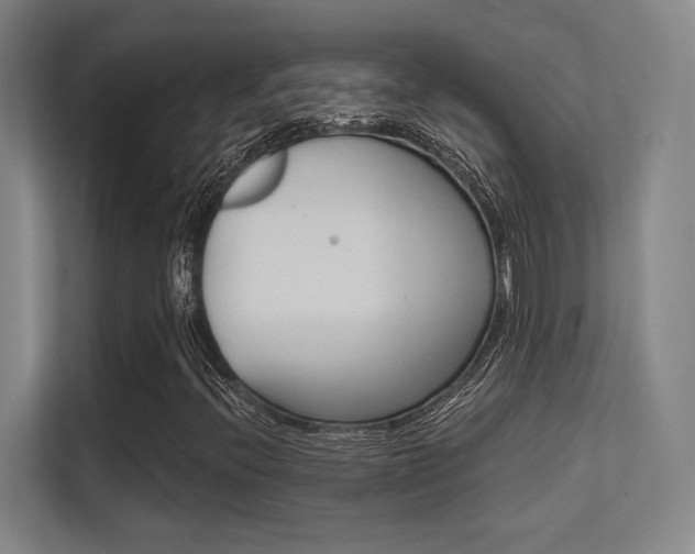 X0000112391396200908131334