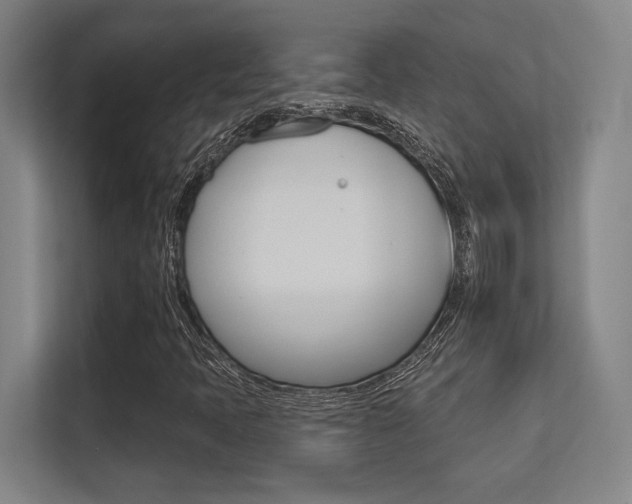 X0000112391397200908131334
