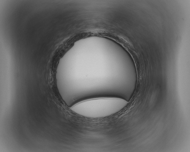 X0000112391398200908131334