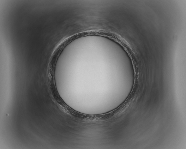 X0000112391400200908131334