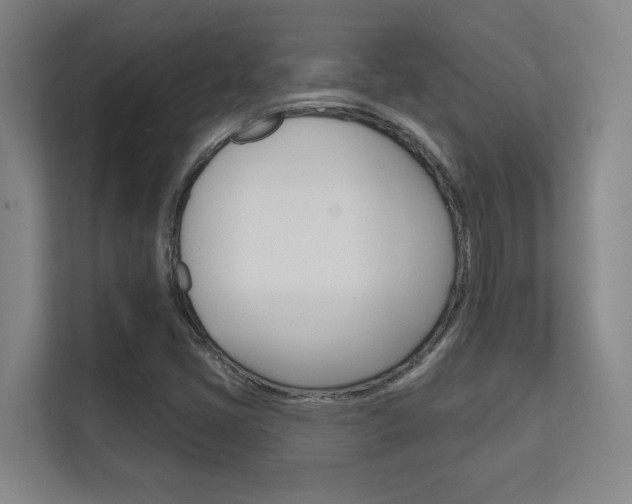 X0000112391405200908131334