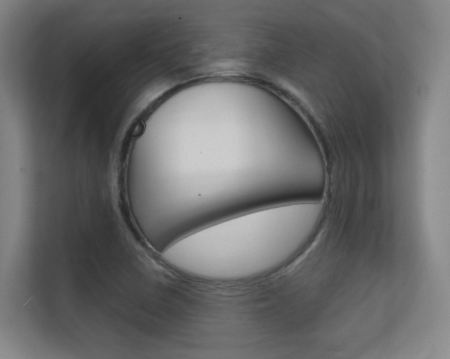 X0000112391410200908131334