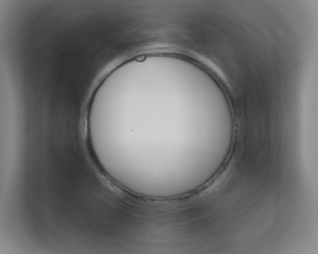 X0000112391413200908131334