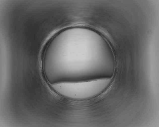 X0000112391414200908131334