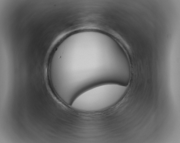 X0000112391416200908131334