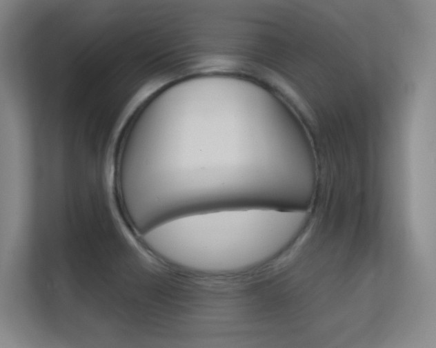 X0000112391418200908131335