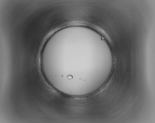 X0000112391419200908131335