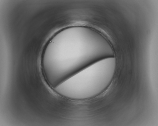 X0000112391422200908131335