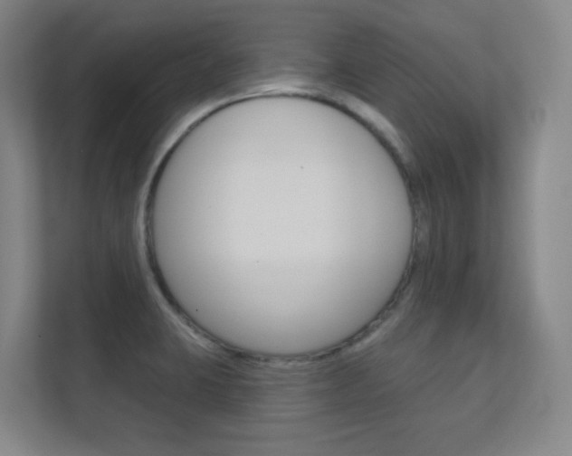 X0000112391423200908131335