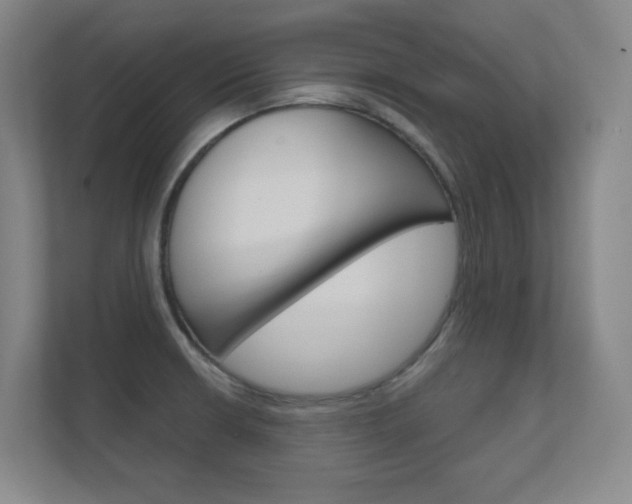 X0000112391426200908131335