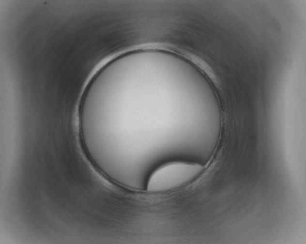X0000112391428200908131335
