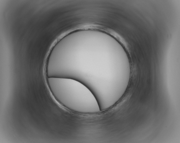 X0000112391429200908131335