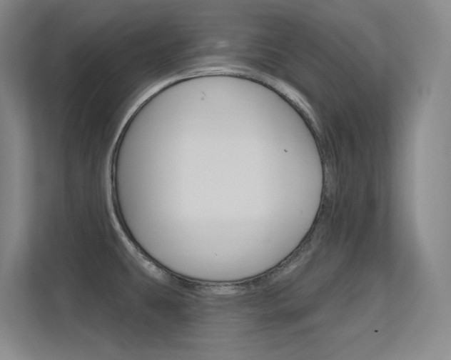 X0000112391431200908131335