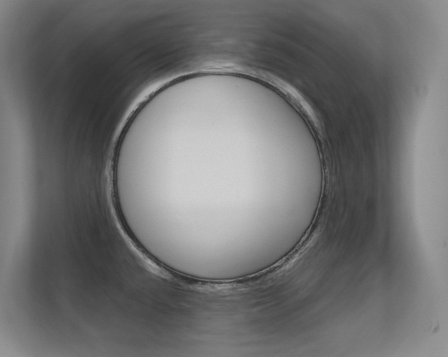 X0000112391432200908131335