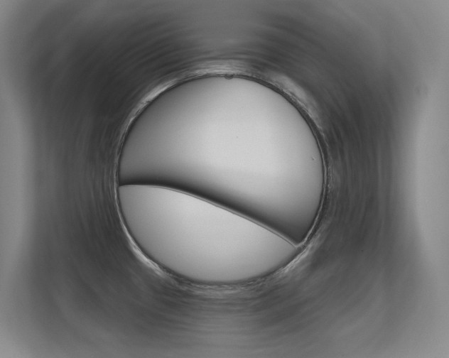 X0000112391433200908131335