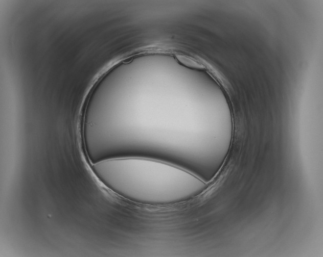 X0000112391434200908131335