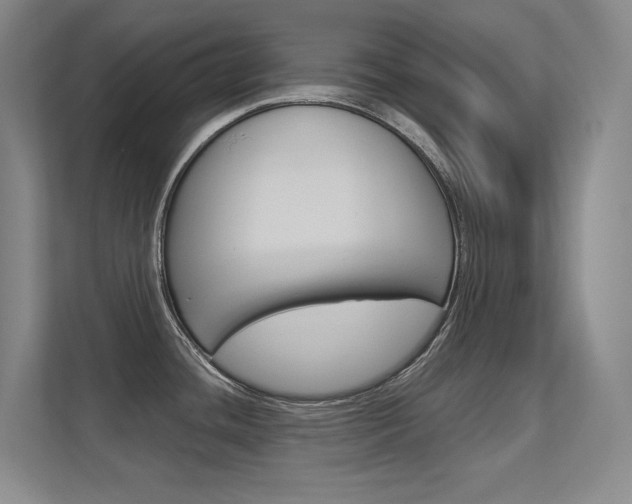 X0000112391436200908131335