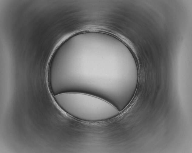 X0000112391437200908131335