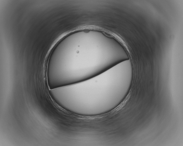 X0000112391438200908131335