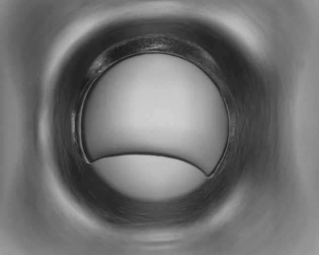 X0000112391439200908131335