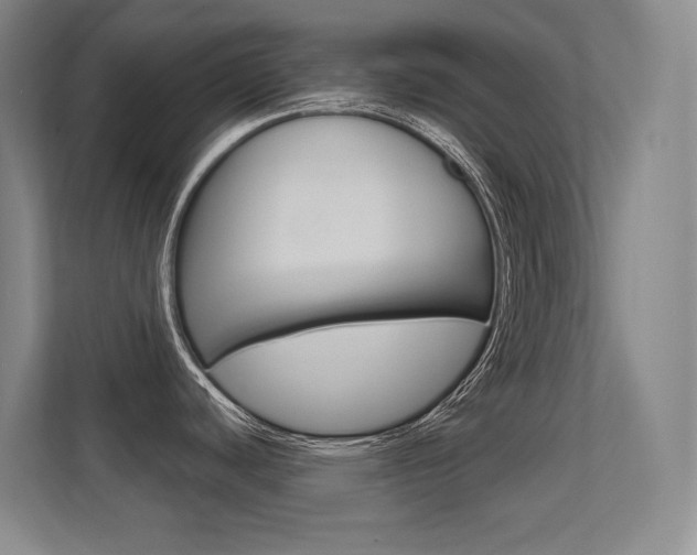 X0000112391440200908131335