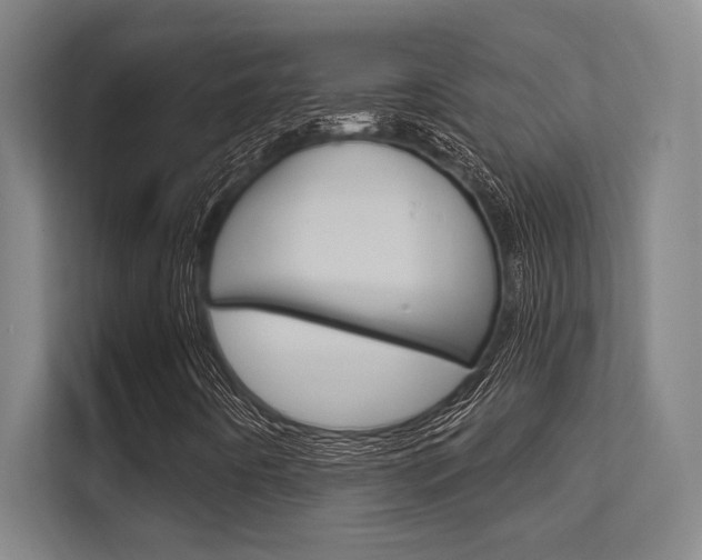 X0000112391442200908131334