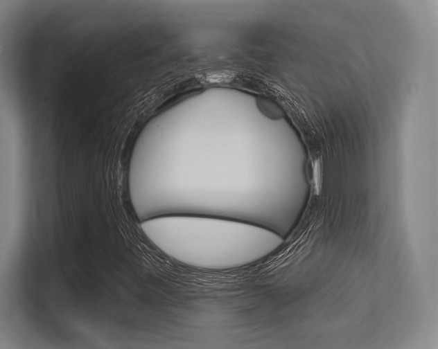 X0000112391443200908131334
