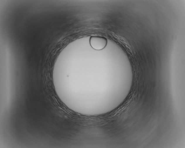X0000112391445200908131334