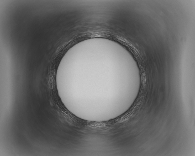 X0000112391446200908131334