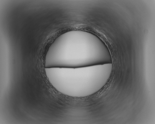 X0000112391447200908131334
