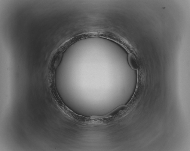 X0000112391448200908131334