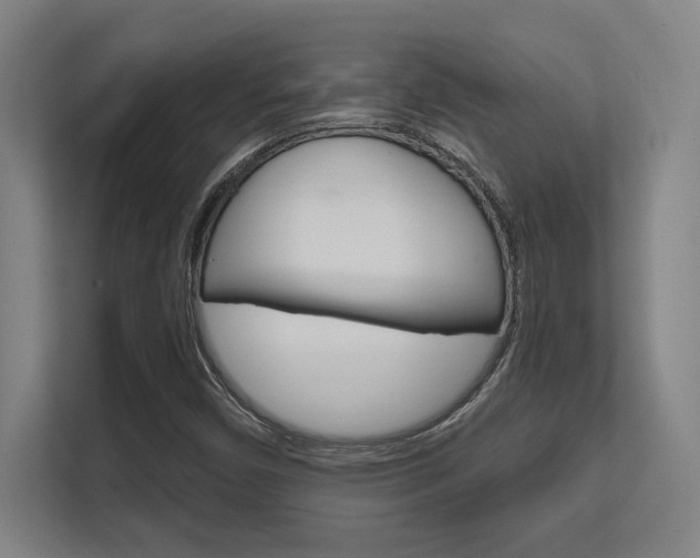 X0000112391450200908131334