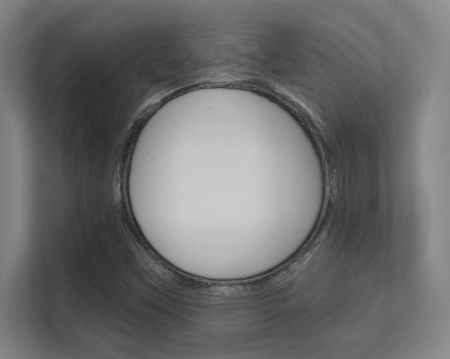 X0000112391451200908131334