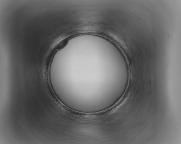 X0000112391453200908131334